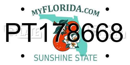 PT178668 Florida License Plate
