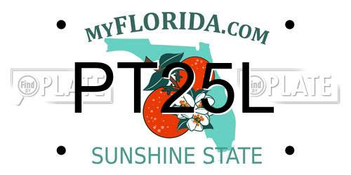 PT25L Florida License Plate