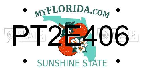 PT2E406 Florida License Plate