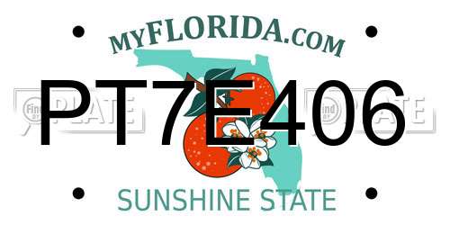 PT7E406 Florida License Plate