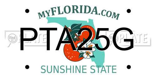 PTA25G Florida License Plate