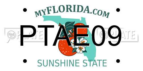 PTAE09 Florida License Plate