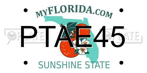 PTAE45 Florida License Plate