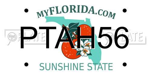 PTAH56 Florida License Plate