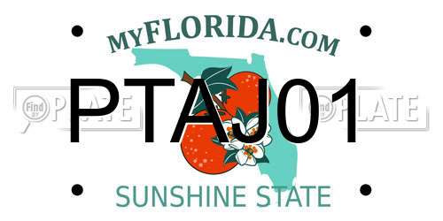 PTAJ01 Florida License Plate