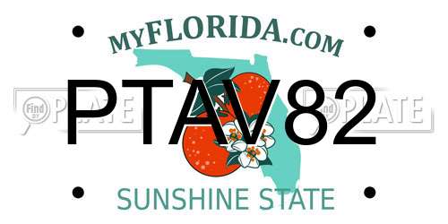 PTAV82 Florida License Plate