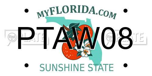 PTAW08 Florida License Plate