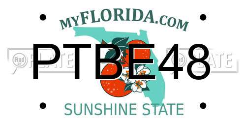 PTBE48 Florida License Plate