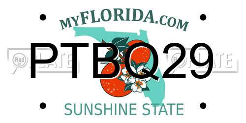 PTBQ29 Florida License Plate
