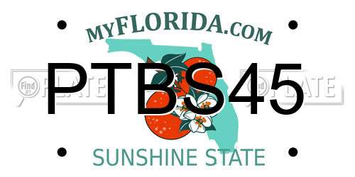 PTBS45 Florida License Plate