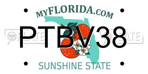 PTBV38 Florida License Plate