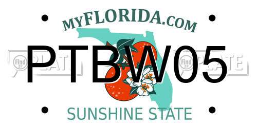 PTBW05 Florida License Plate