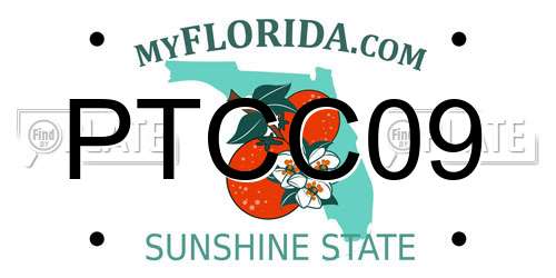 PTCC09 Florida License Plate