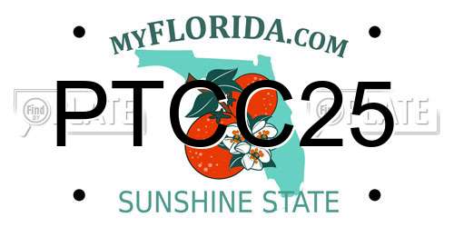PTCC25 Florida License Plate