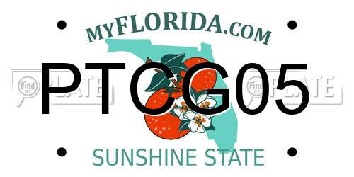 PTCG05 Florida License Plate