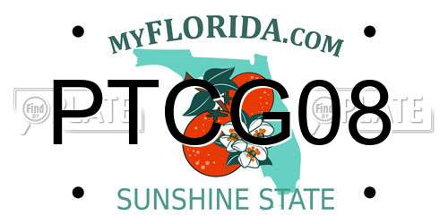 PTCG08 Florida License Plate