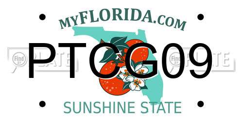 PTCG09 Florida License Plate