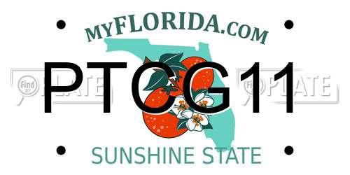 PTCG11 Florida License Plate