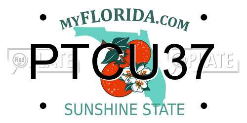 PTCU37 Florida License Plate