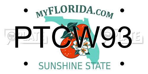 PTCW93 Florida License Plate