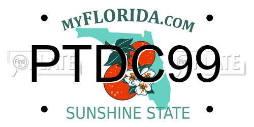 PTDC99 Florida License Plate