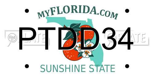 PTDD34 Florida License Plate