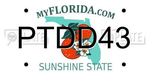 PTDD43 Florida License Plate