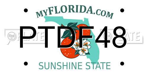 PTDF48 Florida License Plate
