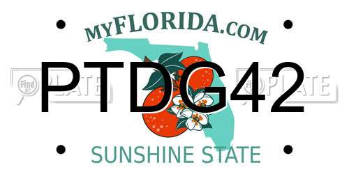 PTDG42 Florida License Plate