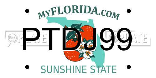 PTDJ99 Florida License Plate