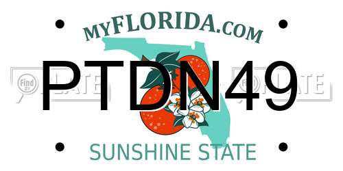 PTDN49 Florida License Plate