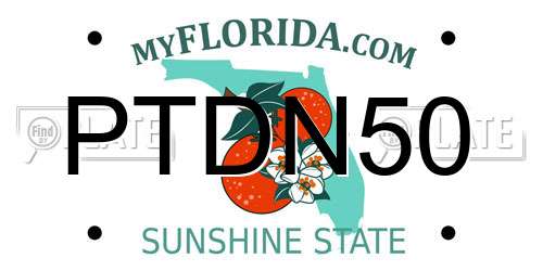 PTDN50 Florida License Plate