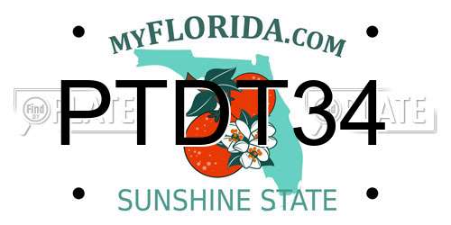 PTDT34 Florida License Plate