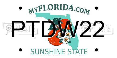 PTDW22 Florida License Plate