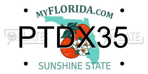 PTDX35 Florida License Plate