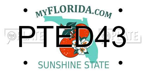 PTED43 Florida License Plate