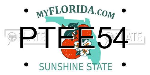 PTEE54 Florida License Plate