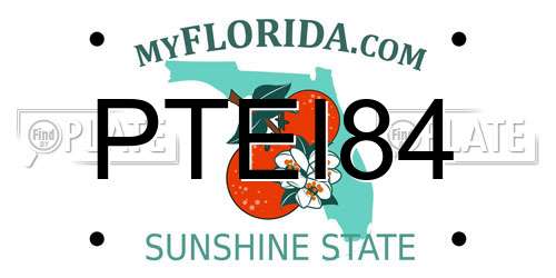PTEI84 Florida License Plate