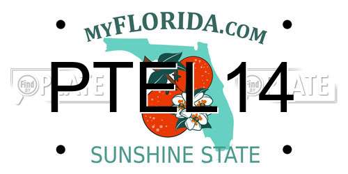 PTEL14 Florida License Plate
