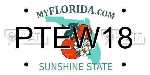 PTEW18 Florida License Plate