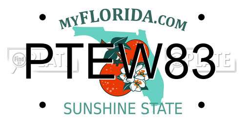 PTEW83 Florida License Plate
