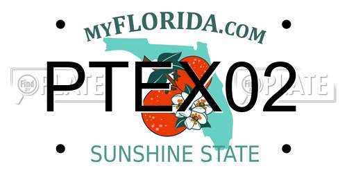 PTEX02 Florida License Plate