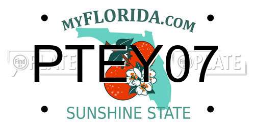 PTEY07 Florida License Plate