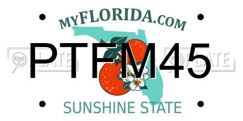 PTFM45 Florida License Plate