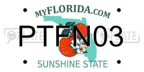 PTFN03 Florida License Plate