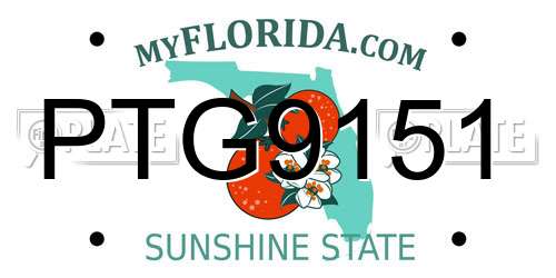 PTG9151 Florida License Plate