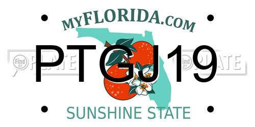 PTGJ19 Florida License Plate