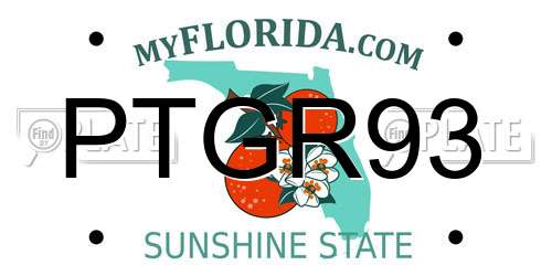 PTGR93 Florida License Plate
