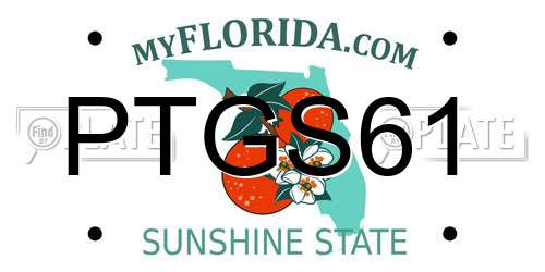 PTGS61 Florida License Plate