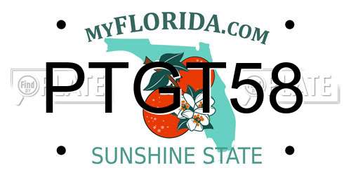 PTGT58 Florida License Plate